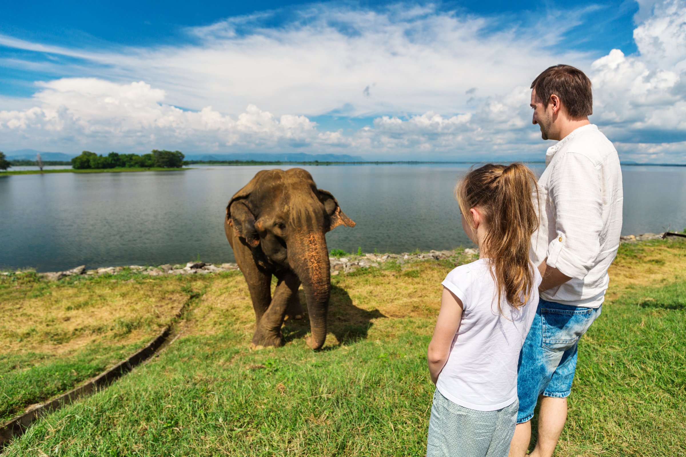 udawalawe national park.webp